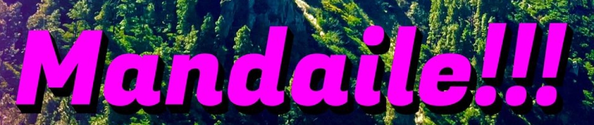 IX CICLOTURISTA ISLA DE LA GOMERA    